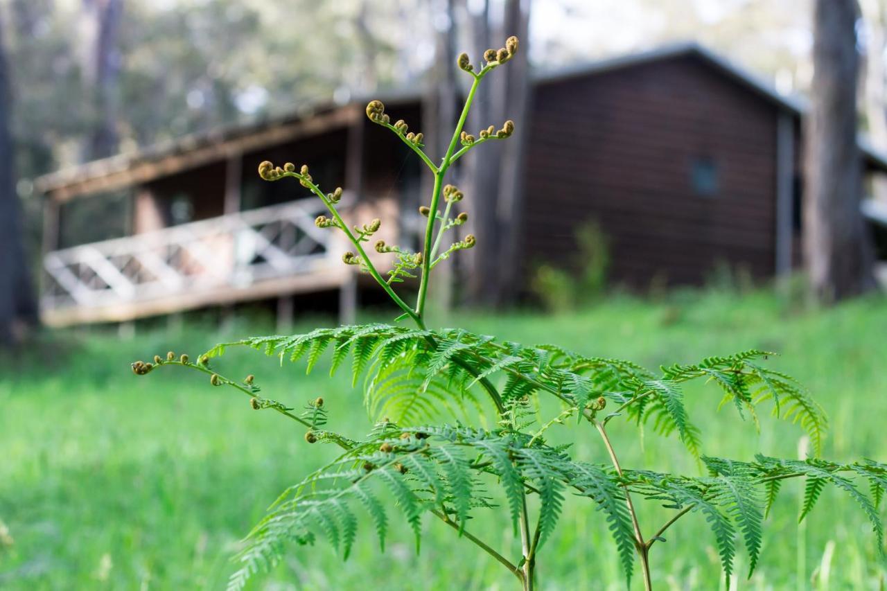 Che Sara Sara Chalets ウォルポール エクステリア 写真